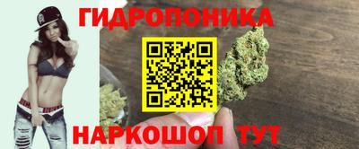 гашик Изобильный