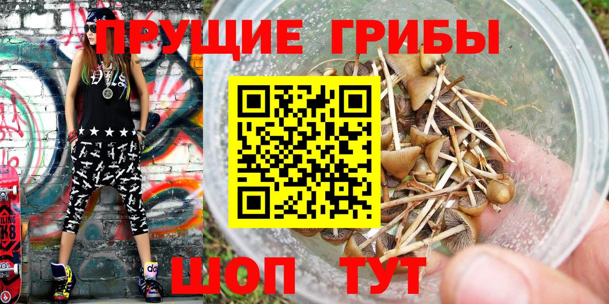Дедовск  Псилоцибиновые грибы ЛСД  Вход с VPN 