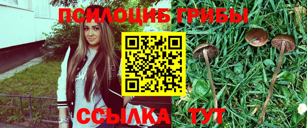 Галлюциногенные грибы GOLDEN TEACHER Дедовск